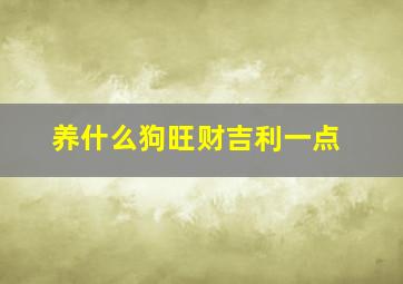 养什么狗旺财吉利一点