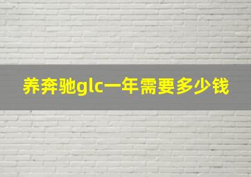 养奔驰glc一年需要多少钱