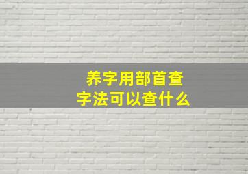 养字用部首查字法可以查什么