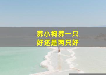 养小狗养一只好还是两只好