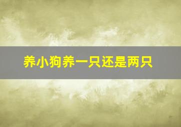 养小狗养一只还是两只