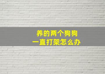 养的两个狗狗一直打架怎么办