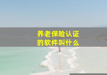 养老保险认证的软件叫什么