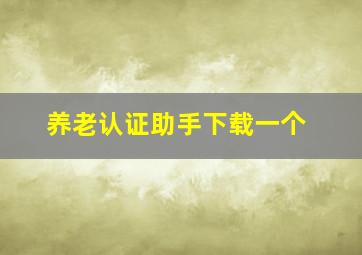 养老认证助手下载一个