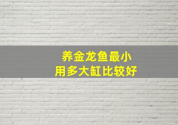 养金龙鱼最小用多大缸比较好