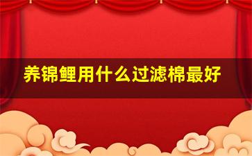 养锦鲤用什么过滤棉最好