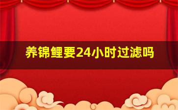 养锦鲤要24小时过滤吗