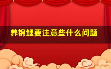 养锦鲤要注意些什么问题