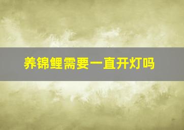 养锦鲤需要一直开灯吗