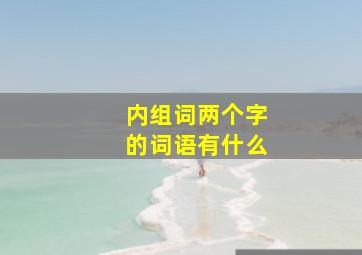 内组词两个字的词语有什么