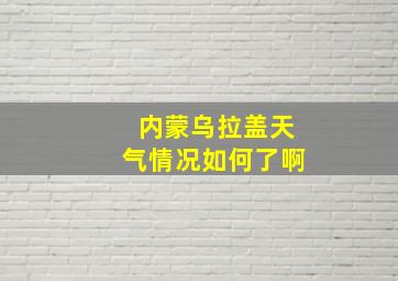 内蒙乌拉盖天气情况如何了啊