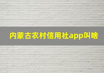 内蒙古农村信用社app叫啥