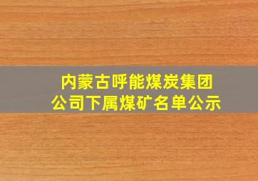 内蒙古呼能煤炭集团公司下属煤矿名单公示