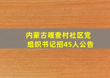 内蒙古嘎查村社区党组织书记招45人公告