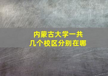 内蒙古大学一共几个校区分别在哪