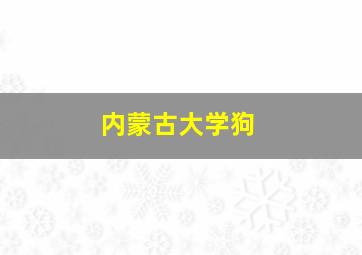 内蒙古大学狗