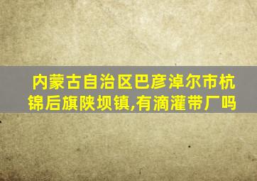 内蒙古自治区巴彦淖尔市杭锦后旗陕坝镇,有滴灌带厂吗