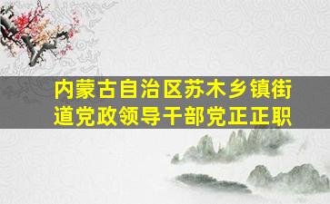 内蒙古自治区苏木乡镇街道党政领导干部党正正职