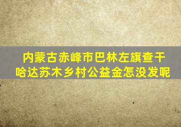 内蒙古赤峰市巴林左旗查干哈达苏木乡村公益金怎没发呢