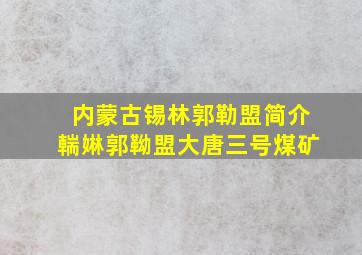 内蒙古锡林郭勒盟简介輲㛦郭靿盟大唐三号煤矿