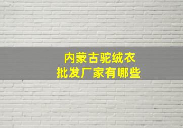 内蒙古驼绒衣批发厂家有哪些