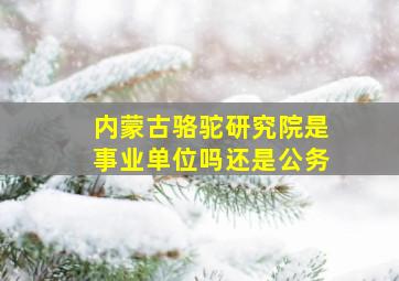 内蒙古骆驼研究院是事业单位吗还是公务