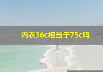 内衣36c相当于75c吗