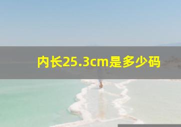 内长25.3cm是多少码