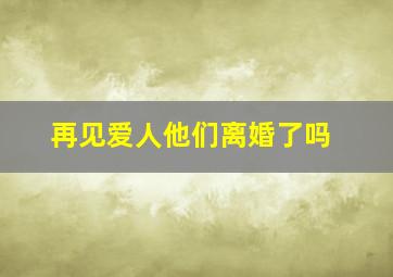 再见爱人他们离婚了吗