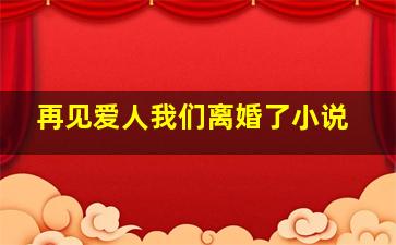 再见爱人我们离婚了小说