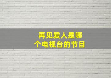 再见爱人是哪个电视台的节目