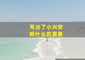 写出了小兴安岭什么的景象