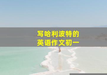 写哈利波特的英语作文初一