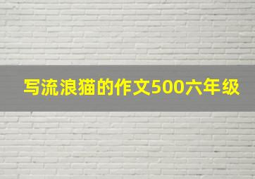 写流浪猫的作文500六年级