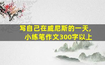 写自己在威尼斯的一天,小练笔作文300字以上