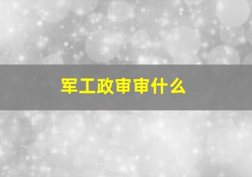 军工政审审什么