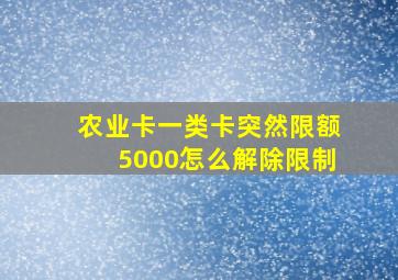 农业卡一类卡突然限额5000怎么解除限制