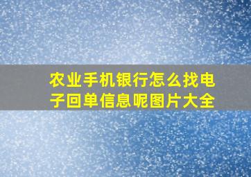 农业手机银行怎么找电子回单信息呢图片大全