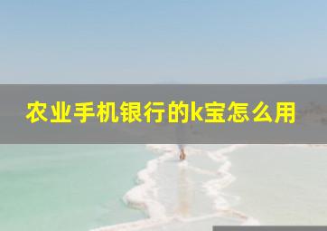 农业手机银行的k宝怎么用