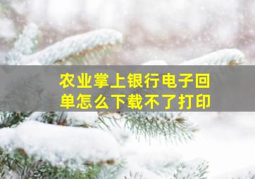 农业掌上银行电子回单怎么下载不了打印