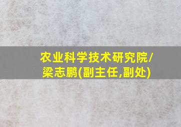 农业科学技术研究院/梁志鹏(副主任,副处)