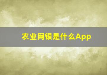 农业网银是什么App