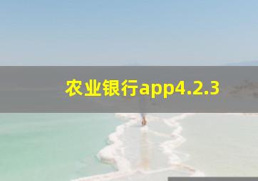 农业银行app4.2.3