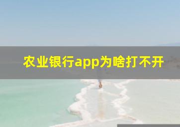 农业银行app为啥打不开