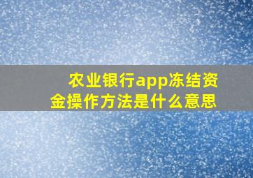 农业银行app冻结资金操作方法是什么意思