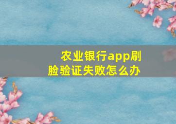 农业银行app刷脸验证失败怎么办