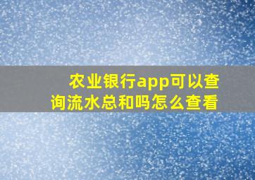 农业银行app可以查询流水总和吗怎么查看