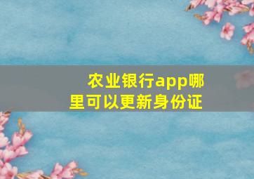 农业银行app哪里可以更新身份证