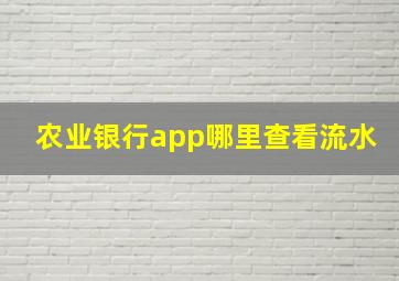 农业银行app哪里查看流水