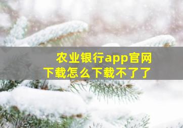 农业银行app官网下载怎么下载不了了